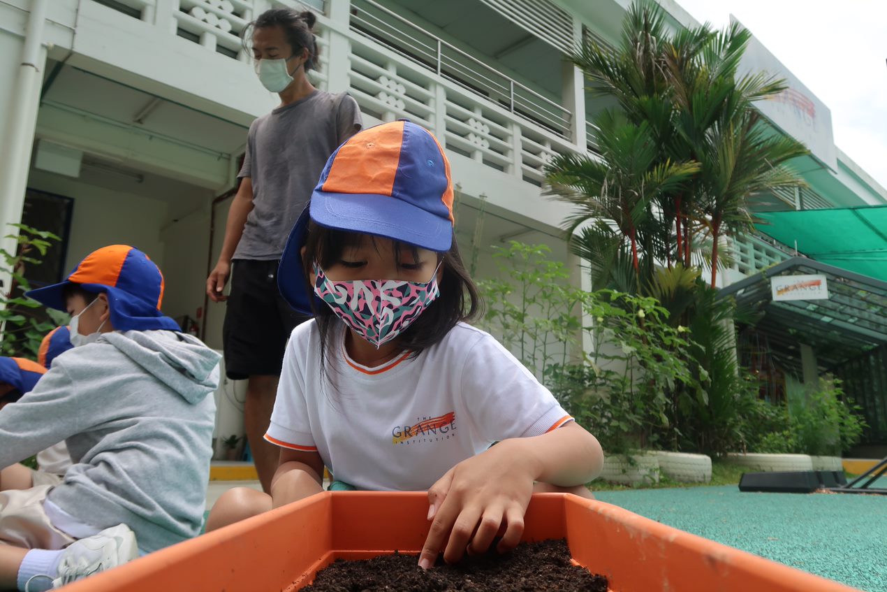 Close-up of students experimenting with sustainable agriculture