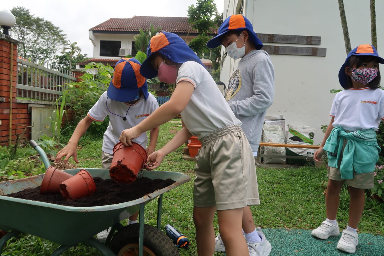 Students engaged in practical learning on regenerative farming methods