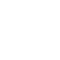 Globe icon